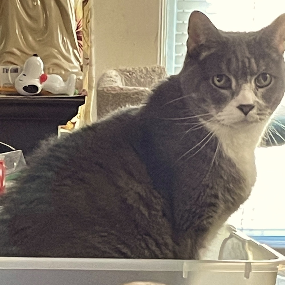 Meet your Posher, Theresa